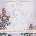Flores de Bach y Maternidad: Tus Aliadas emocionales