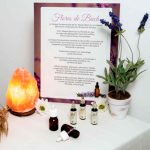 7 Razones por las que la Terapia Floral con Flores de Bach cambiará tu vida