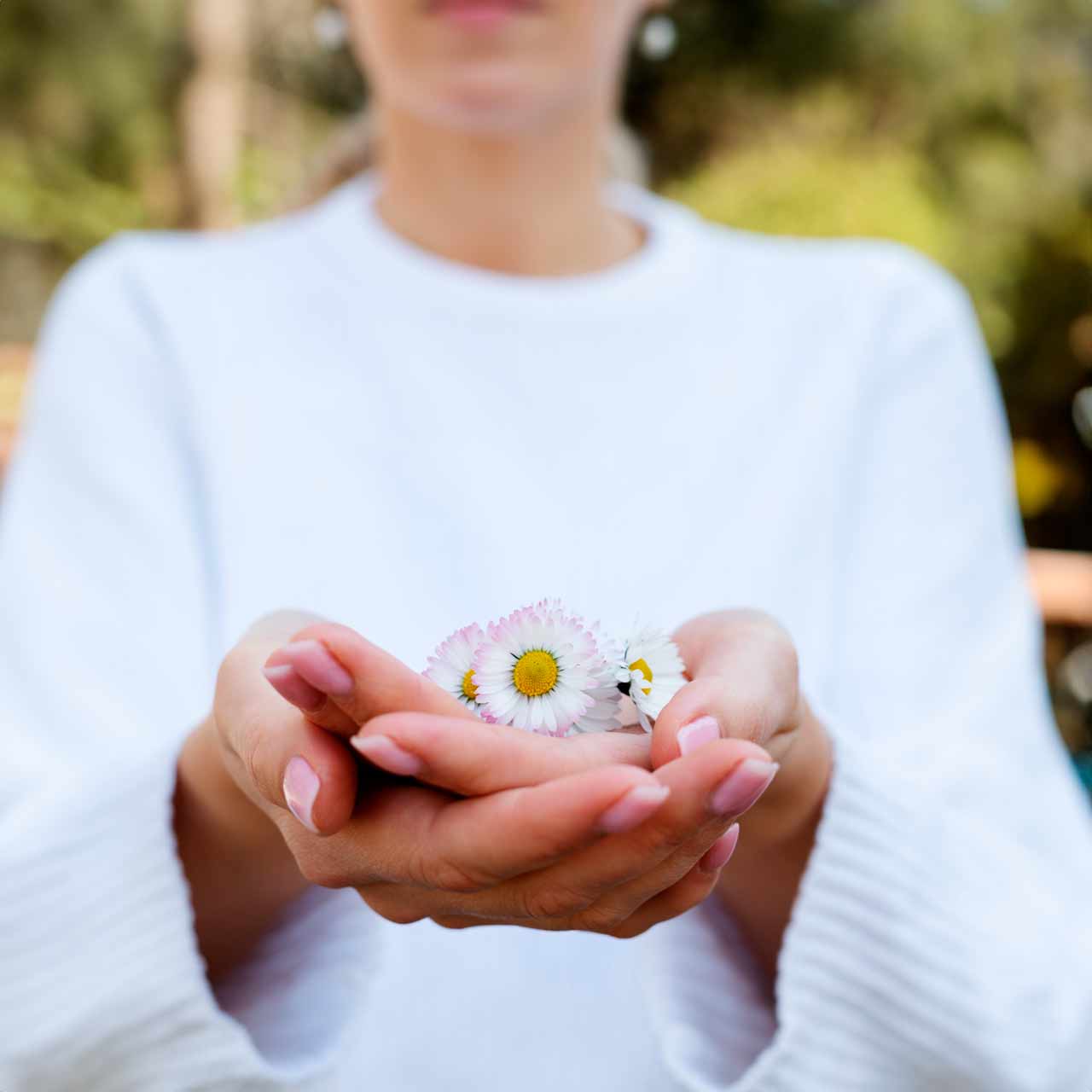 Las 12 lecciones del alma y cómo conectar con ellas desde la terapia floral